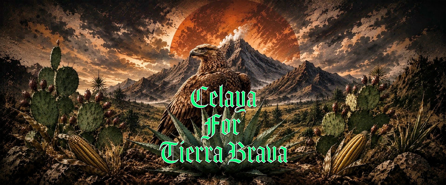 Celaya for Tierra Brava